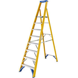Werner Fibreglass Platform Stepladder