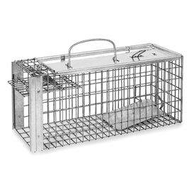 Rat Cage Trap
