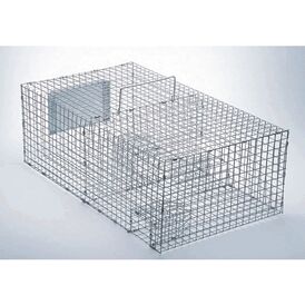 Sparrow Cage Trap