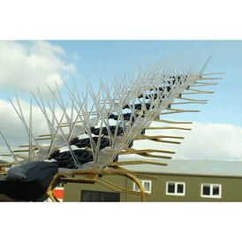 TV Aerial Bird Spikes Kit