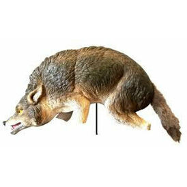 3D Coyote Predator Replica Bird &amp; Animal Deterrent