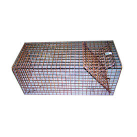 Dog &amp; Fox Fold Down Cage Trap
