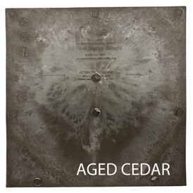 Tapco DaVinci Select Cedar Shake-Style Composite Starter Roof Tiles