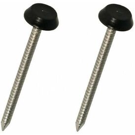 Rubberseal 50mm Poltop Roof Edge Trim Fixing Nails - Bag of 60
