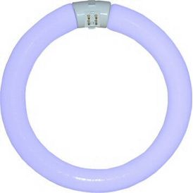 Wemlite 22W 8 Inch Circline UVA Lamp