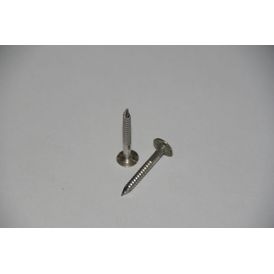 Envirotile 30mm x 3.35mm Stainless Steel Nails (1kg)