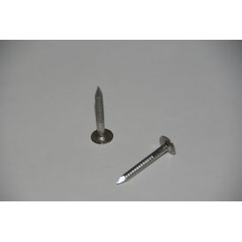 Envirotile 30mm x 4mm Stainless Steel Envirscrew - TX20 Head (1kg)