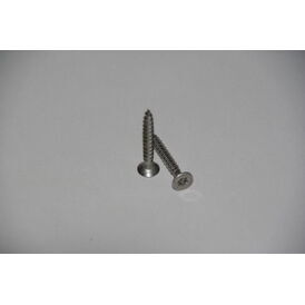 Envirotile Eave Bar Stainless Steel Screws (Pack of 50)