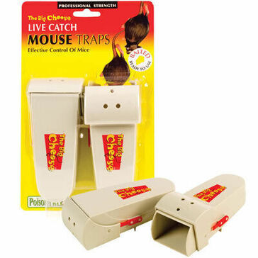 Live Catch Mouse Trap - Twin Pack