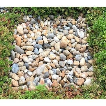Wallbarn 20-40mm Washed Rounded Buff Pebbles (1 Tonne)