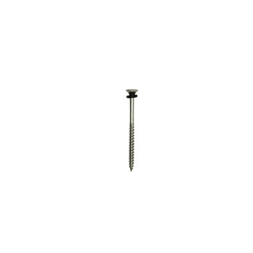 Mayan Stainless Steel RidgeFix 60mm screws (Spares) Pack of 10