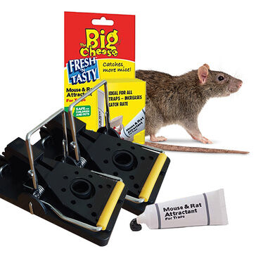 Professional Rat Traps with Lure (Pack of 5)
