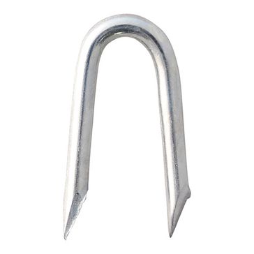 Timco Presser Point Staple - Galvanised