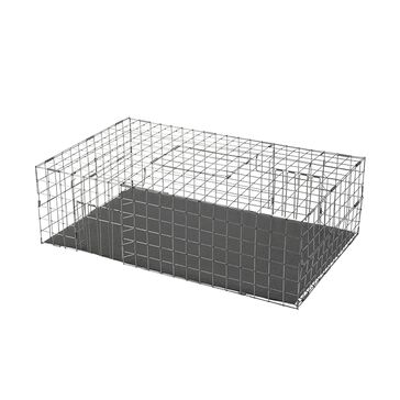 Feral Pigeon Trap With Base