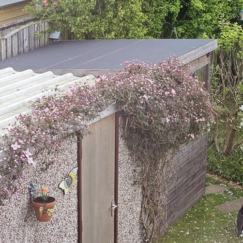 Customer image of SKYGUARD EPDM Shed Roof Kit