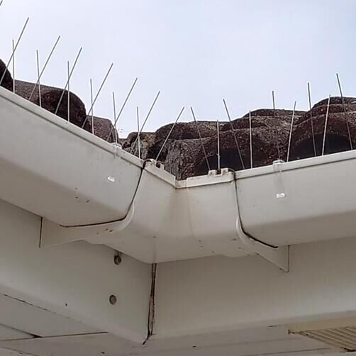 Customer image of Pigeon Spikes Gutter Kit (5m)