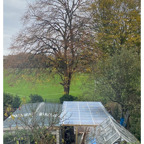 Customer image of Solstice PVC Corrugated Roofing Sheet