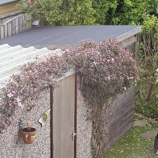 Customer image of SKYGUARD EPDM Shed Roof Kit