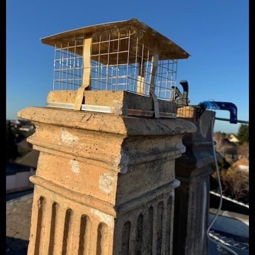 Customer image of Brewer Square Solid Fuel Chimney Birdguard With Rain Cap (Fits Pots 6" - 10")