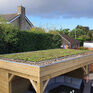 Wallbarn M-Tray Sedum Wildflower Instant Green Roof Module - 500mm x 500mm x 100mm additional 7