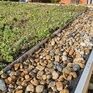 Wallbarn Green Roof Aluminium Edging Bar (2.4m) additional 2