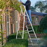 Werner MasterTrade Platform Step Ladder additional 3