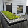 Sky Garden Sedum Blanket Green Roofing System – 1m² Kit additional 4