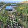 Sky Garden Wildflower Blanket Green Roofing System - 1m² Kit additional 3