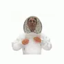 PestFix Professional White Beekeeper Coveralls &amp; 2 Veils additional 3