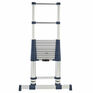 Xtend+Climb 3.8m ProSeries S2.0 Telescopic Ladder additional 2