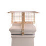 Brewer Square Solid Fuel Chimney Birdguard With Rain Cap (Fits Pots 6" - 10") additional 3