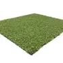 PRIME Coloured Artificial Grass additional 5