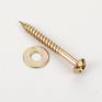 Alumasc Heritage 2" Round Head Screw For Downpipe Sockets With Ears Or Pipe Clips additional 1