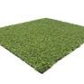 PRIME Coloured Artificial Grass - 10mm (Cut To Length) additional 8
