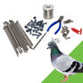 Pestfix Pigeon Deterrent Post & Wire Kit For Masonry additional 3