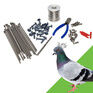 Pestfix Pigeon Deterrent Post &amp; Wire Kit For Masonry additional 3
