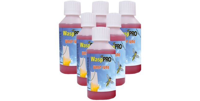 Wasp Pro Wasp and Fly Lure (250ml)