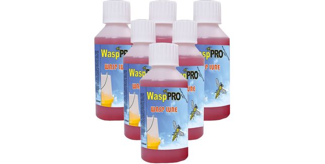 Wasp Pro Wasp and Fly Lure (250ml)