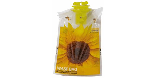 Trappit Wasp Bag Disposable Wasp Trap