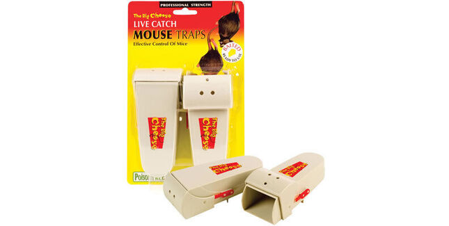 Live Catch Mouse Trap - Twin Pack