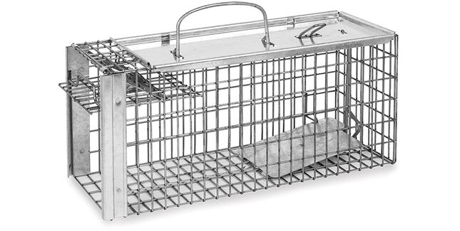 Rat Cage Trap