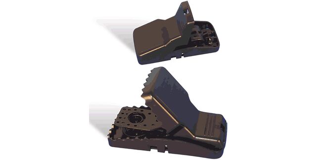 TRAPPER Mini-Rex Superior Mouse Snap Trap by Belll Labs