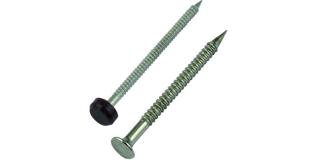 Olympic Fixings Plastic Head Pins (Pack of 250)