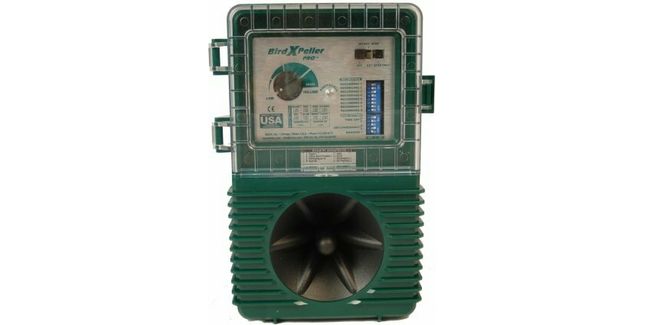 BirdXPeller Pro Digital 1 Channel Bird Scarer (12V DC) - Version 1