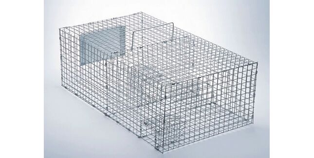 Sparrow Cage Trap