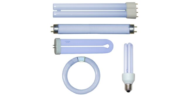 40 Watt Sylvania 24” X 1½” F40 T12 BL368 UVa Safety Tube