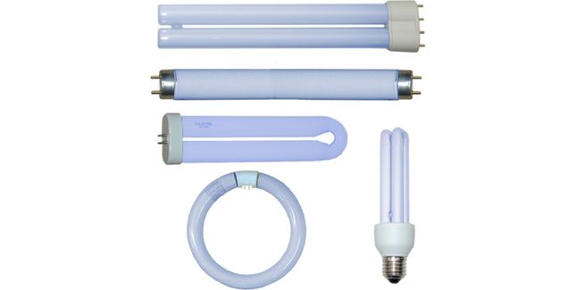 25 Watt Wemlite Tight U 9½” X 2¼” Ful25T8 BL368 UVa Standard Lamp