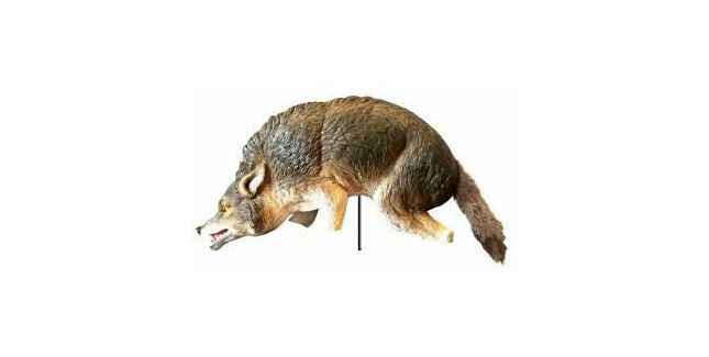 3D Coyote Predator Replica Bird &amp; Animal Deterrent