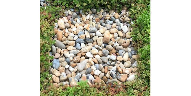 Wallbarn 20-40mm Washed Rounded Buff Pebbles (1 Tonne)