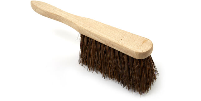 CMS Hand Brush - Bassine